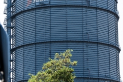 DSC03426_JEPG_100