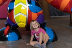 DSC03480_JEPG_100